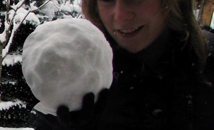 schneeballmucbook1
