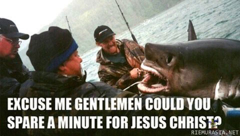Bilder-Thread t4fC6Q1 picdump-11312-24