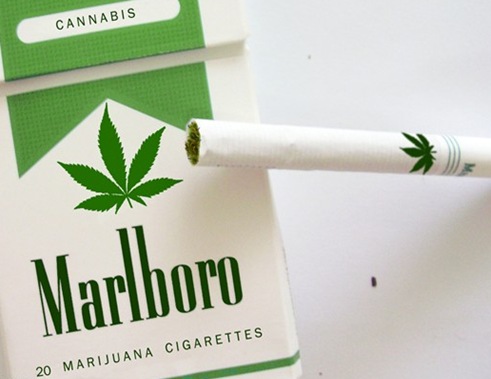 marlboro-marijuana