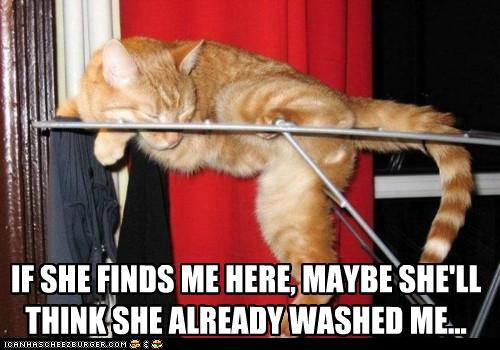 Bilder-Thread t4z8kCy funny-pictures-if-she-finds-me-here-mayb