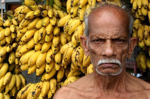 Bilder-Thread I-Hate-Bananas-500x332