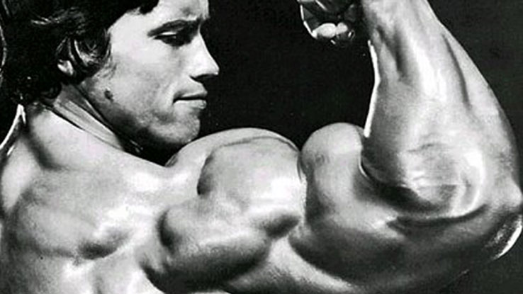 arnold-schwarzenegger-9-2343135