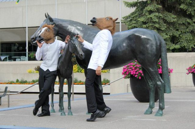 Bilder-Thread horse-head