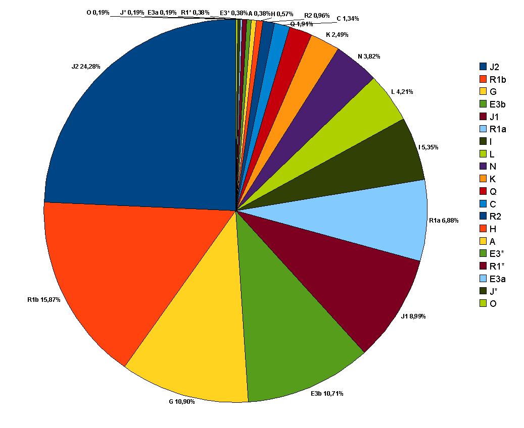 Turkey Y chromosome 28in 20 haplogroups 