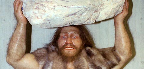 Neandertaler assen bereits Pflanzen und 