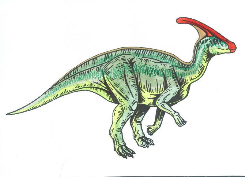 Parasaurolophus