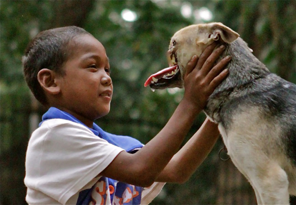Bilder-Thread Dog-Missing-Snout