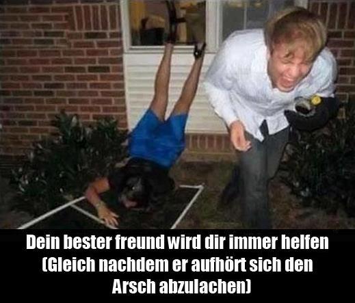 Bilder-Thread 587475 304312 266328830137264 1309109393