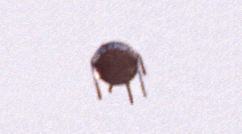1990-ufo-sightning-alferna-portugal