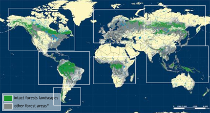 intact-forest-map-430px