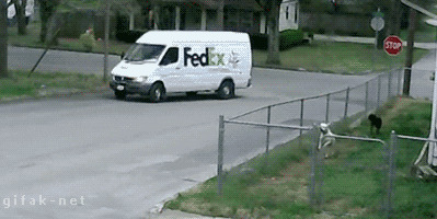 funny-gifs-Fedex-is-not-what-it-used-to-