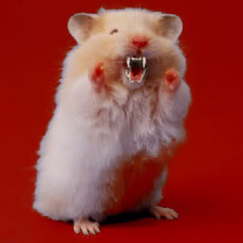 fangs hamster sq