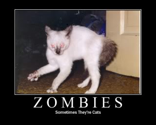 ZombieCat-1