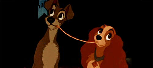 cute disney dogs lady and the tramp Favi