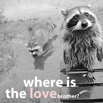 where-is-the-love-brother