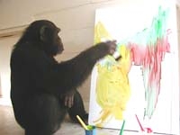 Congo-the-Chimpanzee-s-Paintings-Sold-Fo
