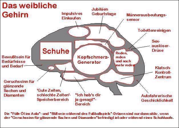 das-weibliche-gehirn-leicht-erklaert