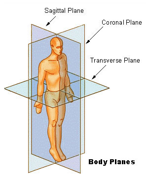 BodyPlanes