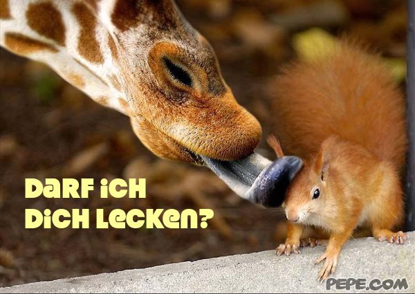 darf ich dich lecken 1