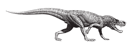 Rauisuchia Postosuchus kirkpatricki