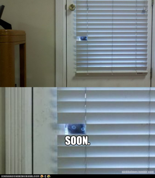 Bilder-Thread funny-pictures-dont-try-to-run-because-t
