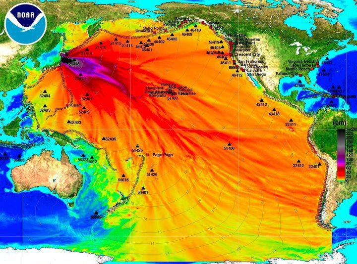 fukushima  noaa rad plume