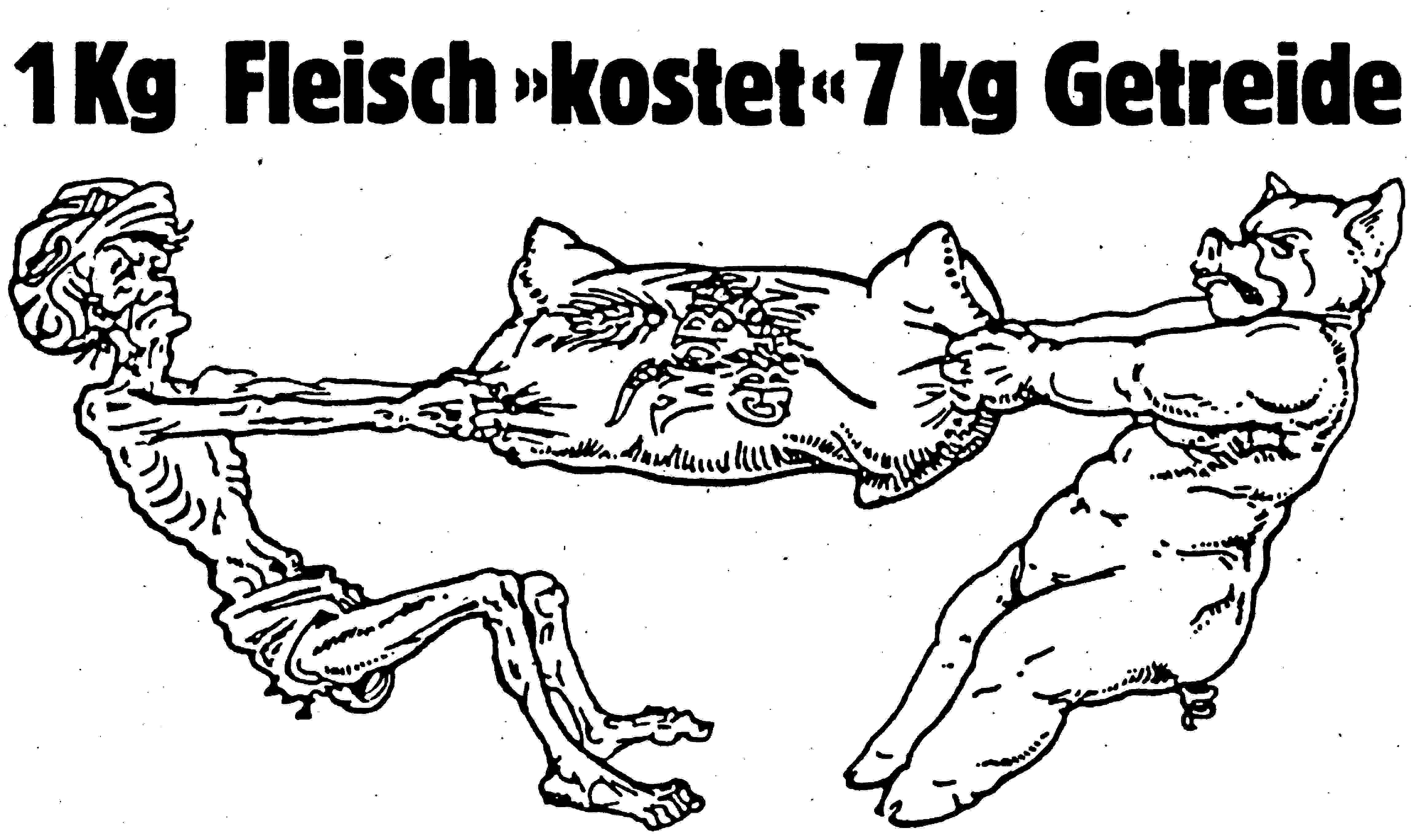 Bilder-Thread Hunger-02