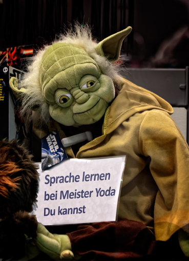 Yoda-Meister-Yoda-Orange-Still--Objektfo