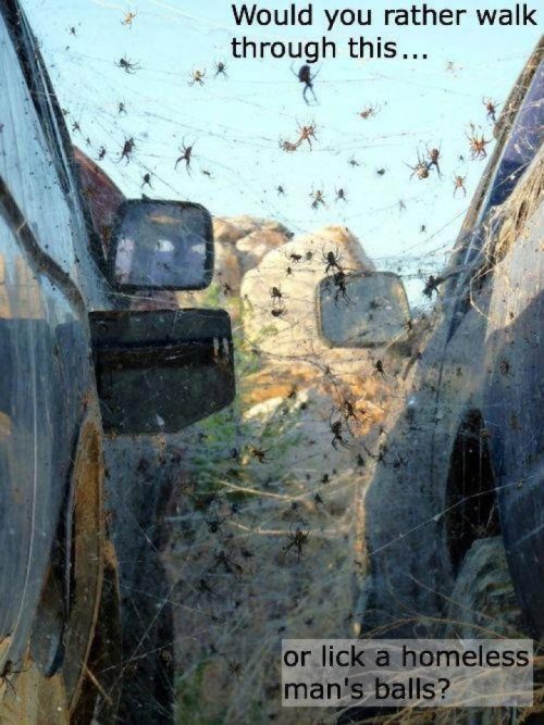Bilder-Thread funny-dark-humor-photos-36