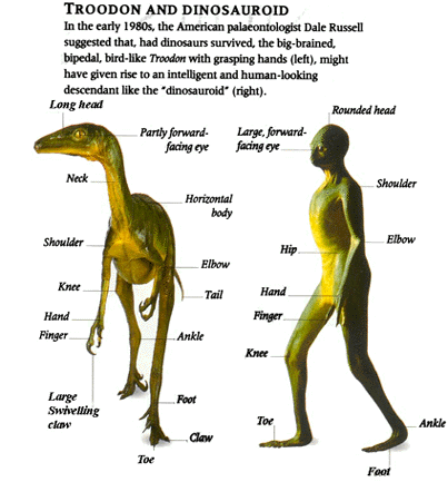 t55dc18_Troodondinosauroid.gif