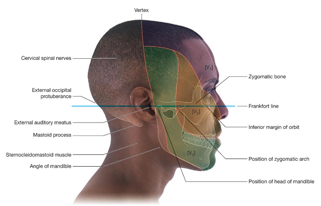 prelab19 Fig1