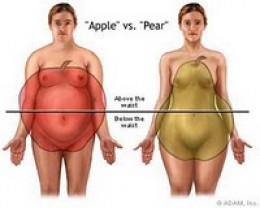 Apple versus pear shape