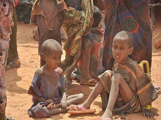 512px Malnourished children 2C weakened 