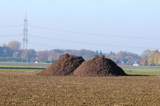 Bilder-Thread onlineImage