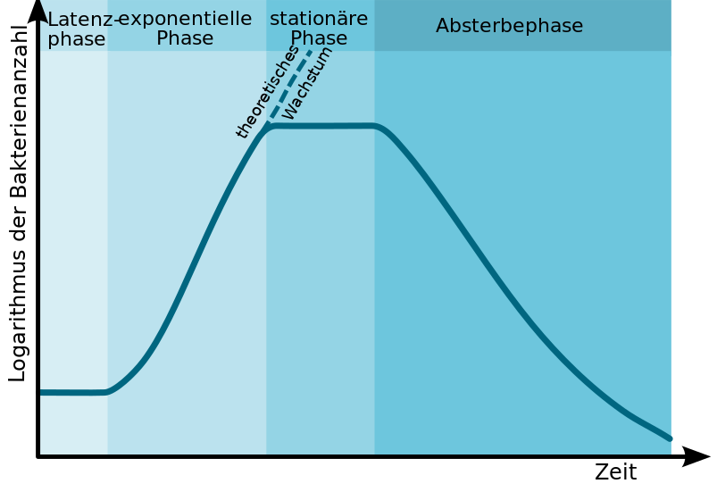 Bacterial growth curve de