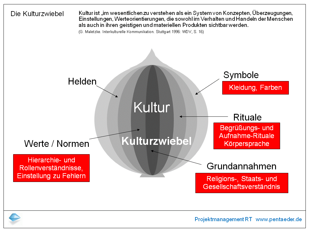 kulturzwiebel2