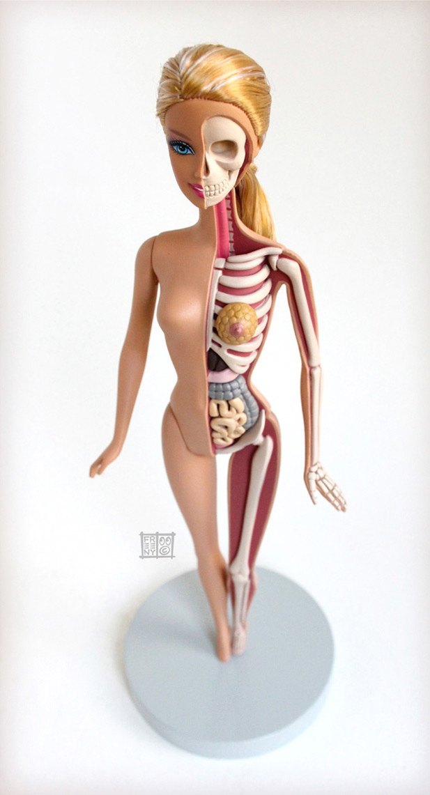 anatomical-barbie-2