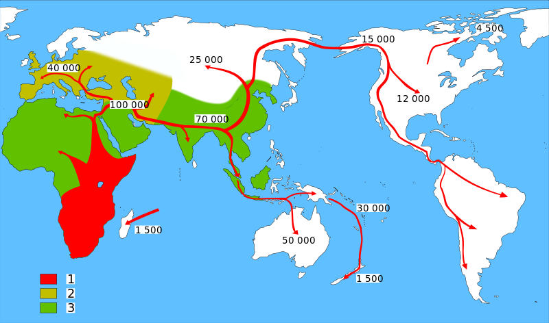 800px Spreading homo sapiens.svg