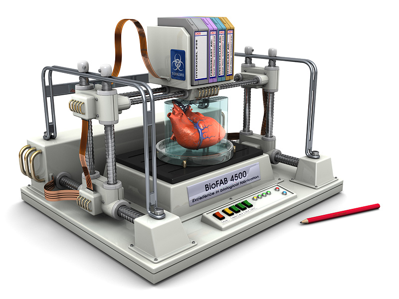 bioprinter 800x600