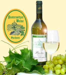 pesterwitzer-wein-265x300