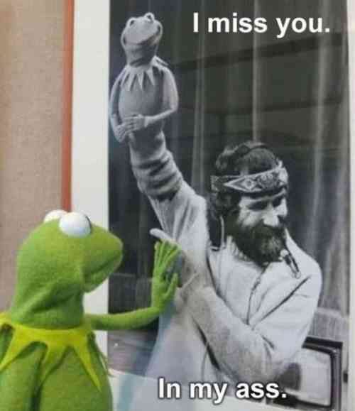 Bilder-Thread great hilarious photos 5