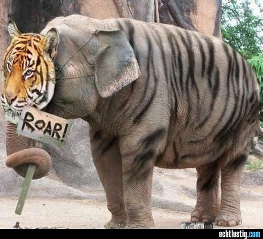 elefant-waer-so-gern-ein-tiger