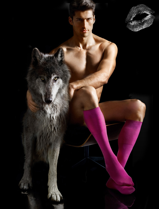 Bilder-Thread man-wolf-hot-socks