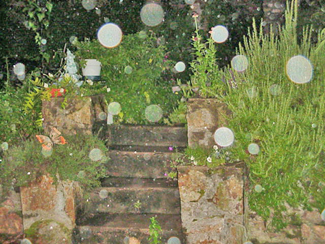 graveyard orbs1