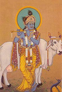 krishna heiligekuh