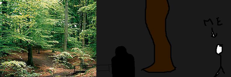 Das mysteriöse Wesen (Gestalt , ein Etwas) im Wald wingst wald330geistabha