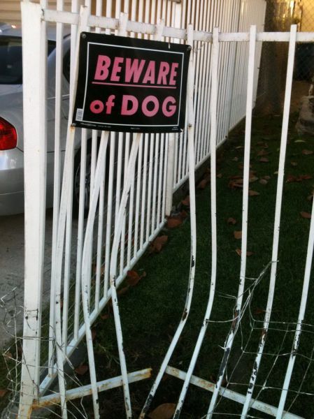 Bilder-Thread Funny-Pics-30.10.2012-35