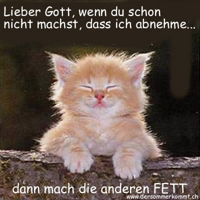 Fumos miese Spelunke Bild der Woche1