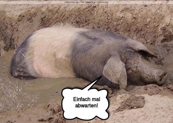 3226-Schlammbad Schwein Einfach mal abwa