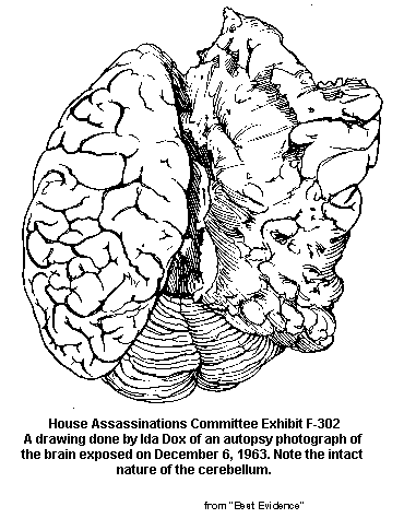 t7eac103 dox